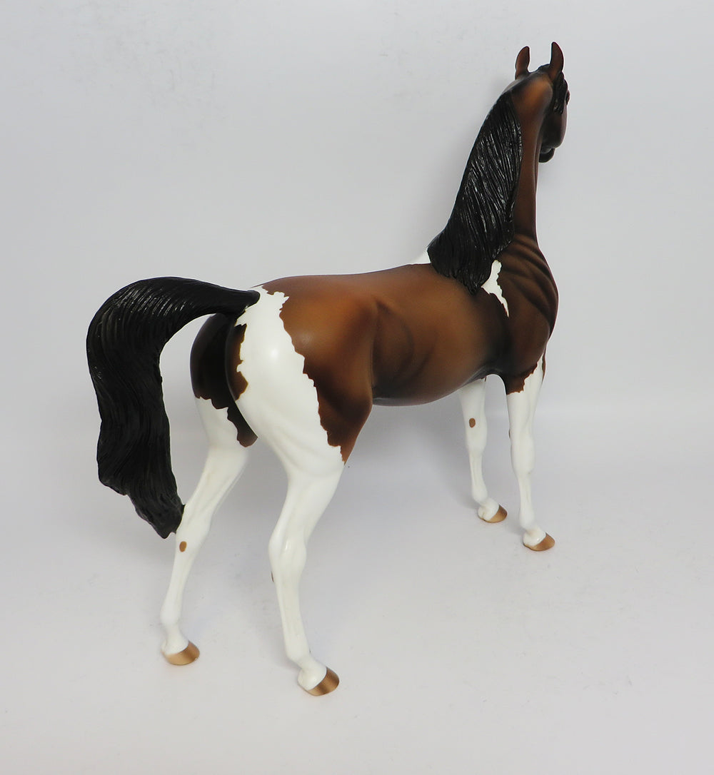 SASHA-OOAK BAY PINTO ARABIAN MODEL HORSE 4/28