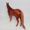 Stock Horse