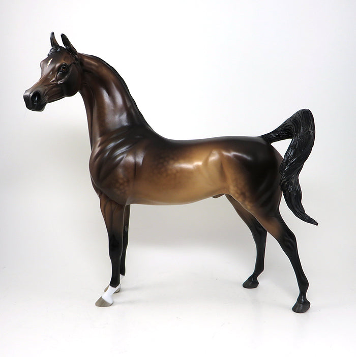 one of a kind bay arabian adnan