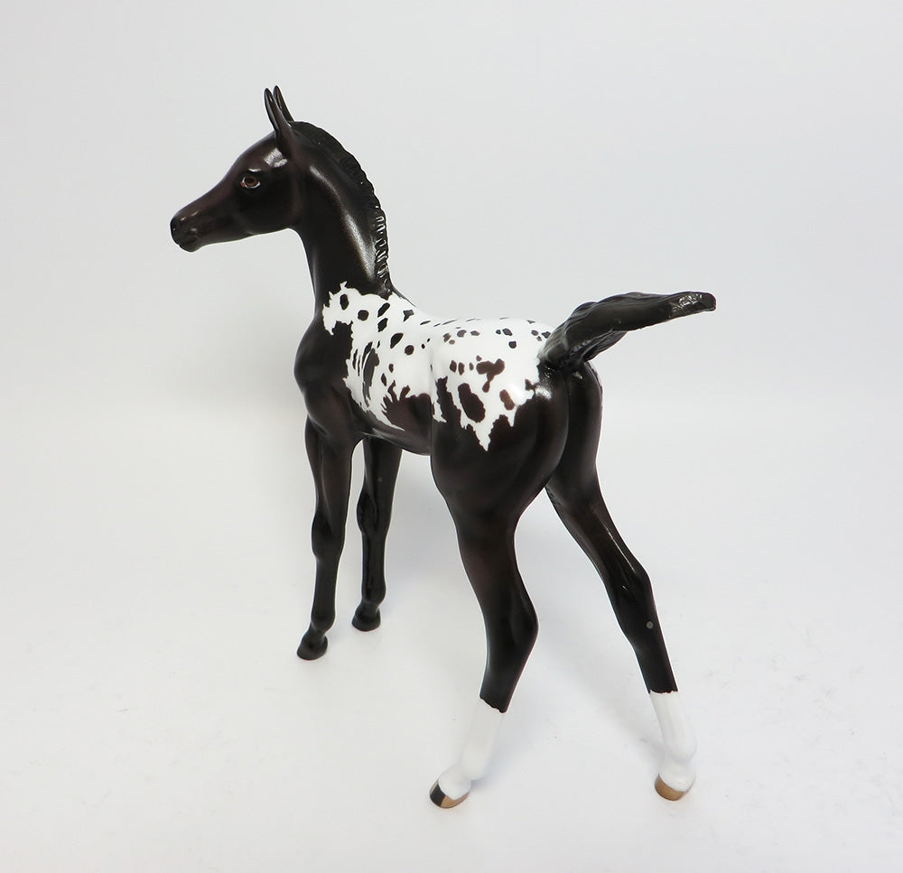 Appaloosa