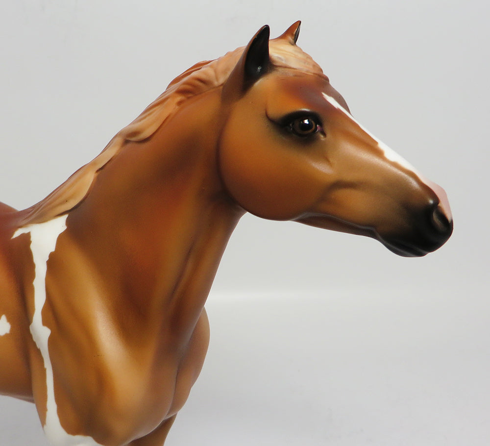 MOSLEY-OOAK CHESTNUT PINTO MUSTANG MODEL HORSE 4/28