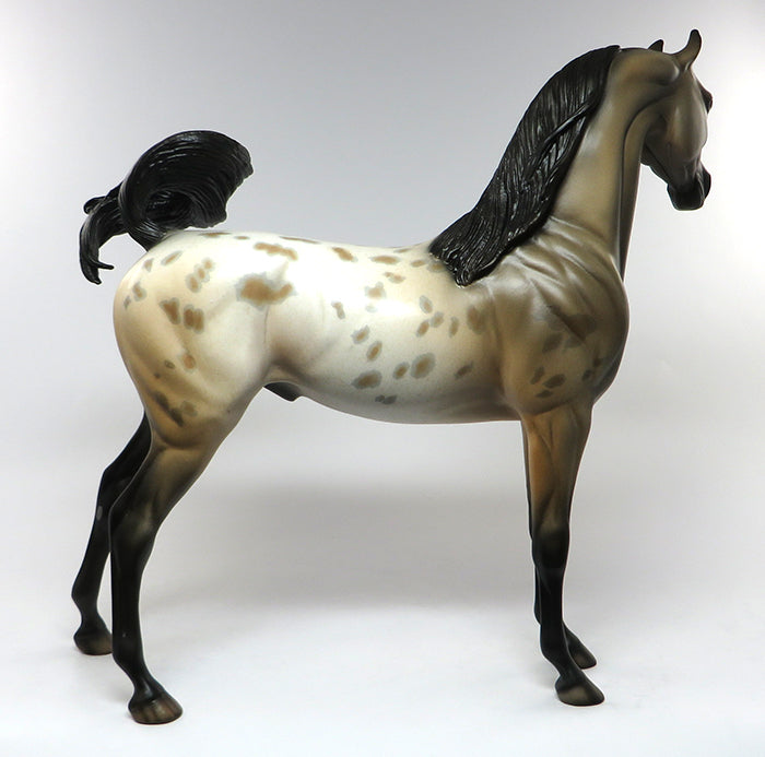 FALCON-OOAK BUCKSKIN APPALOOSA ARABIAN MODEL HORSE 6/15