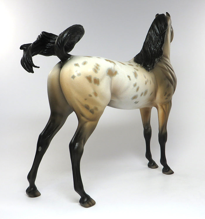 FALCON-OOAK BUCKSKIN APPALOOSA ARABIAN MODEL HORSE 6/15