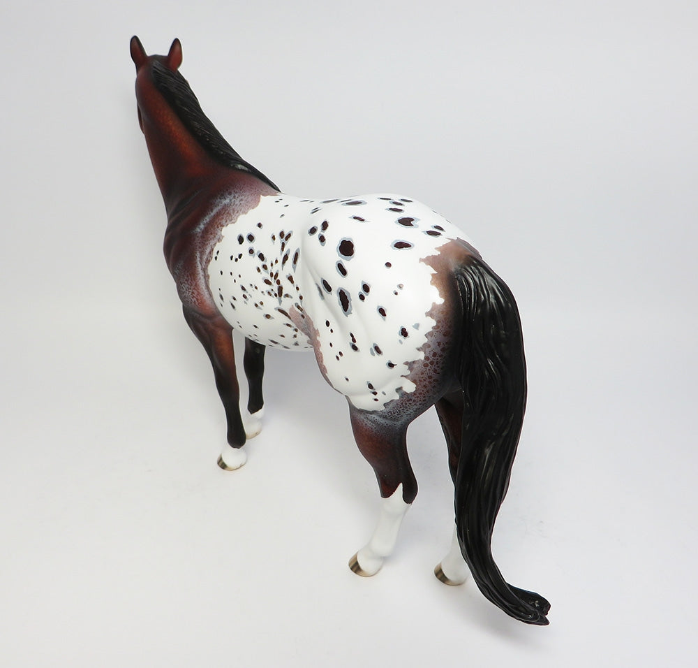Appaloosa
