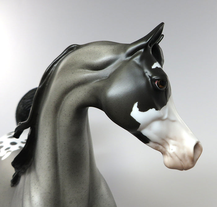 PS TRIUMPH-OOAK APPALOOSA ARABIAN MODEL HORSE 6/15