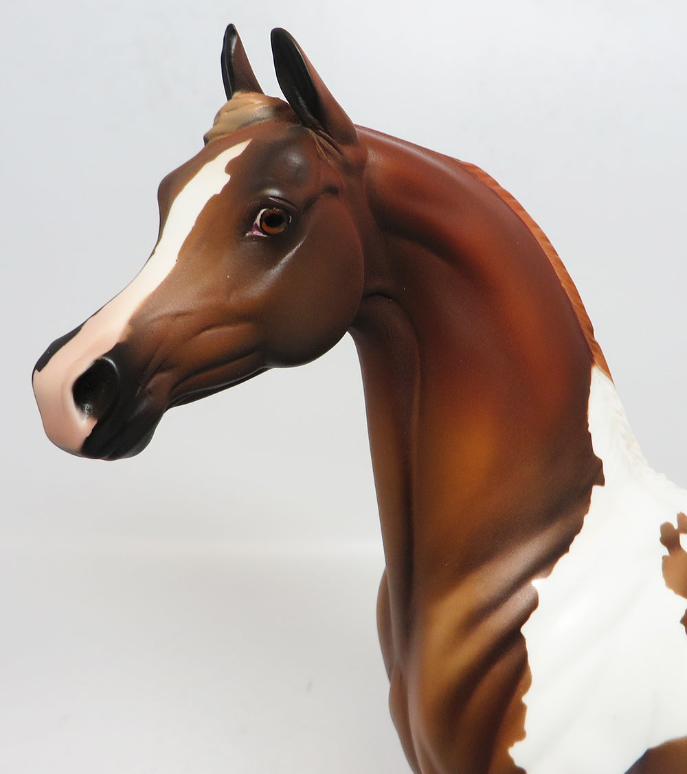 SON OF SAM-OOAK CHESNUT PINTO ARABIAN MODEL HORSE 4/28