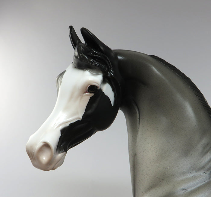 PS TRIUMPH-OOAK APPALOOSA ARABIAN MODEL HORSE 6/15