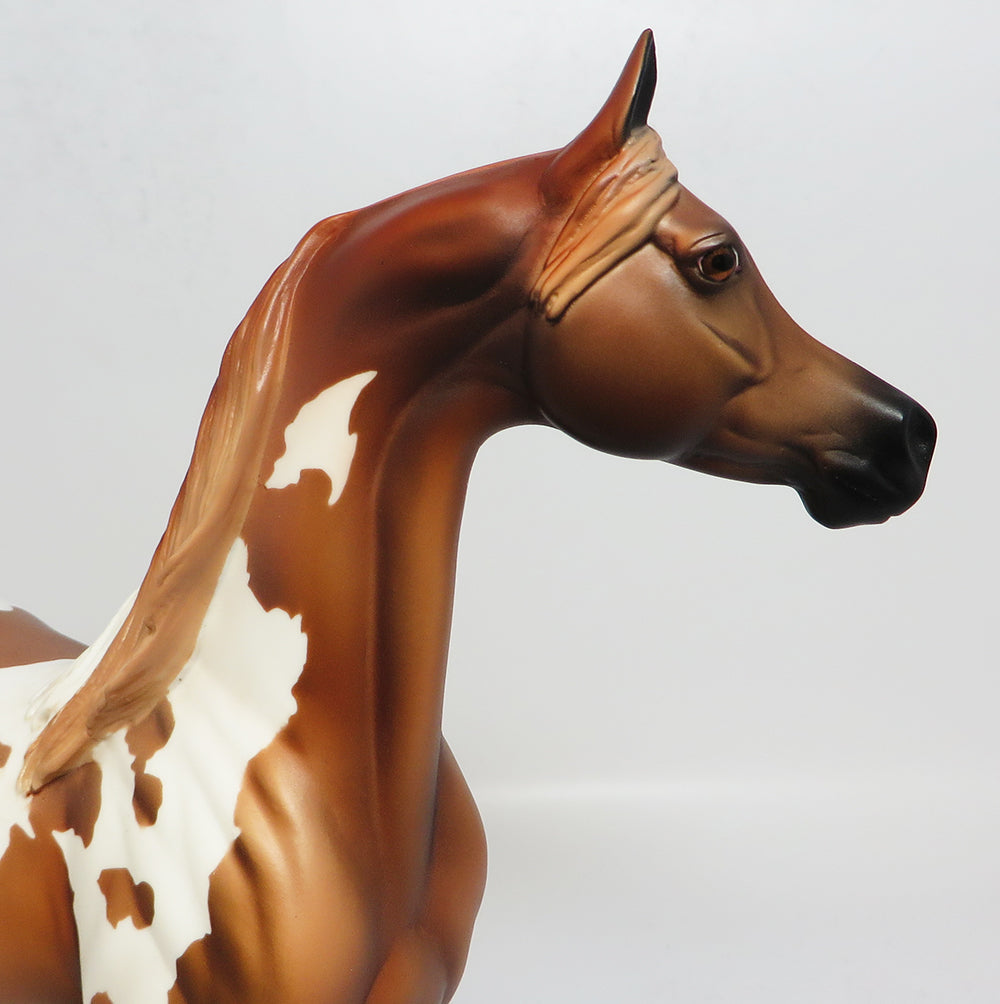 SON OF SAM-OOAK CHESNUT PINTO ARABIAN MODEL HORSE 4/28