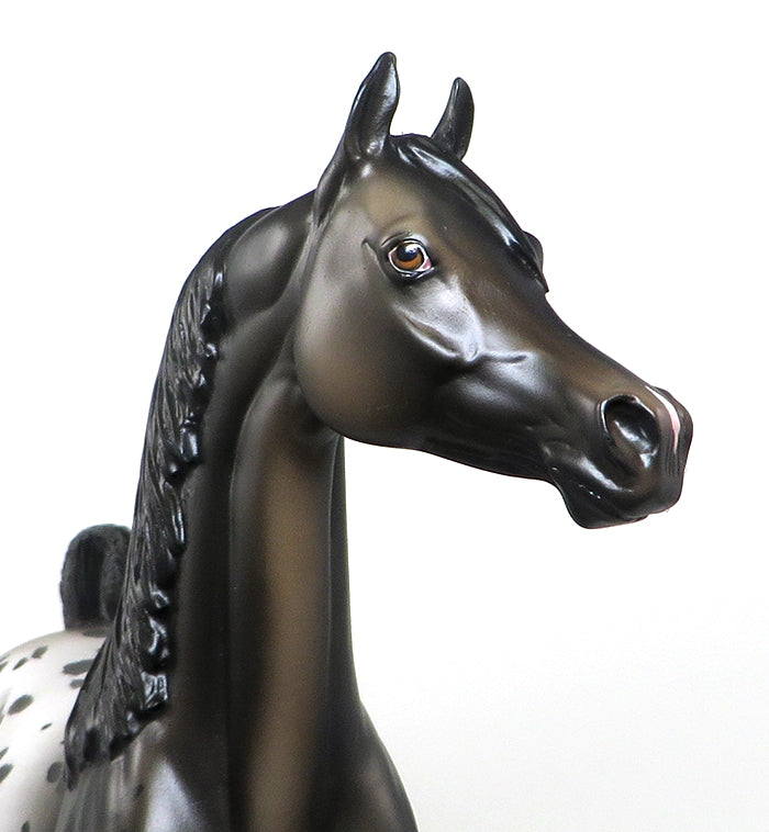 STAR DANCER - OOAK BROWN BAY APPALOOSA ARABIAN MODEL HORSE
