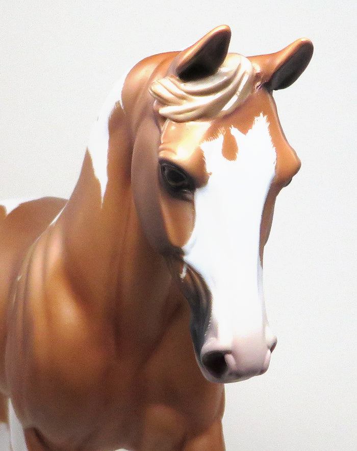 GOOD CRUIZER-OOAK-LIGHT CHESTNUT ETCHED TOBIANO THOROUGHBRED MODEL HORSE Sheryl Leisure 12/29