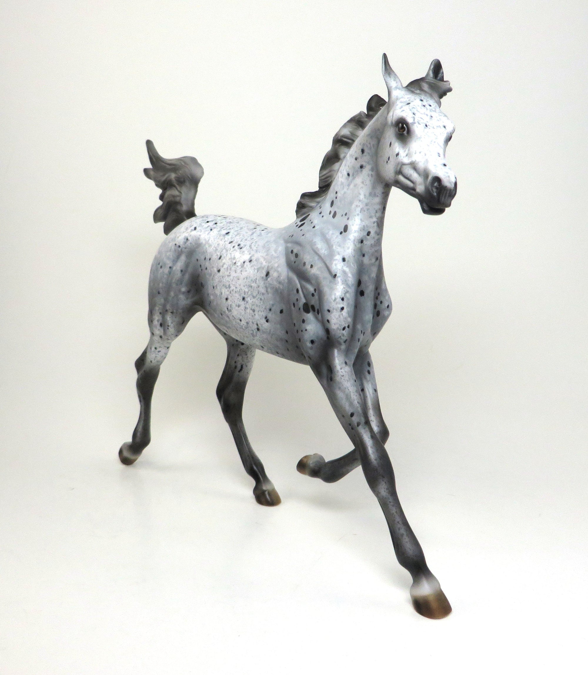 DAVOS-OOAK-APPALOOSA YEARLING MODEL HORSE BY AL-12/29