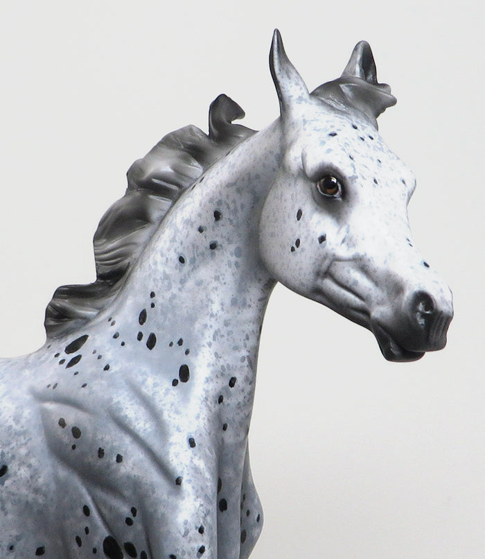 DAVOS-OOAK-APPALOOSA YEARLING MODEL HORSE BY AL-12/29