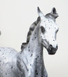 DAVOS-OOAK-APPALOOSA YEARLING MODEL HORSE BY AL-12/29