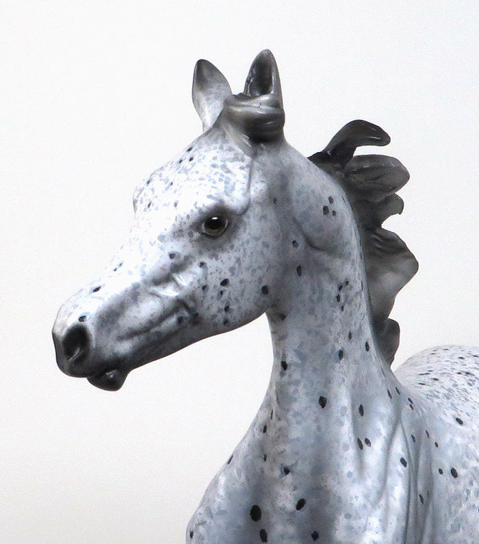 DAVOS-OOAK-APPALOOSA YEARLING MODEL HORSE BY AL-12/29