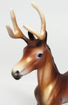 Reindeer