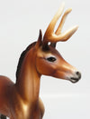 Antlers