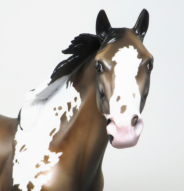 ICE ICE BABY-DAPPLE BUCKSKIN PAINT ISH MODEL HORSE 12/29