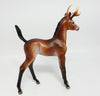 Arabian Foal