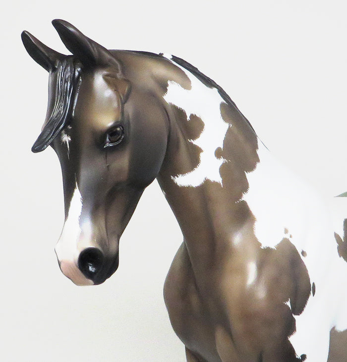 PAINT MODEL HORSE