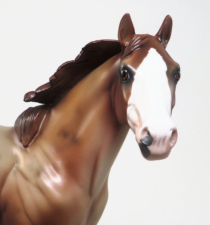 SHEILA BISHOP Model Horse