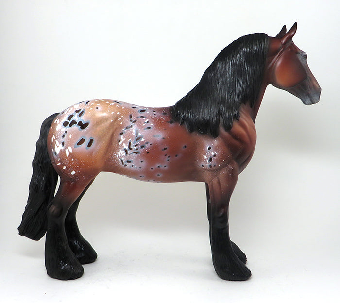 Bay Appaloosa