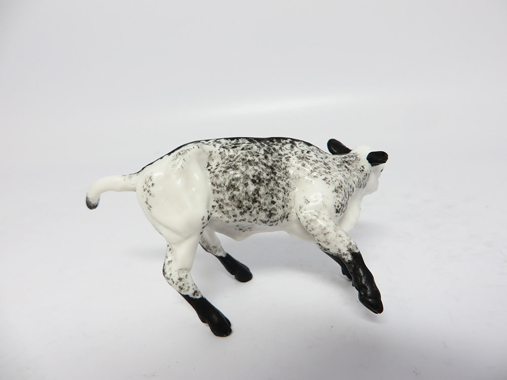 GRAHAM~OOAK BLACK SPECKLED CUTTER CALF CHIP 11/10/17