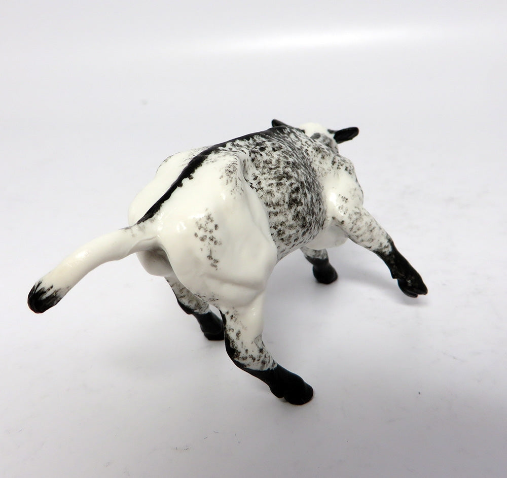 GRAHAM~OOAK BLACK SPECKLED CUTTER CALF CHIP 11/10/17