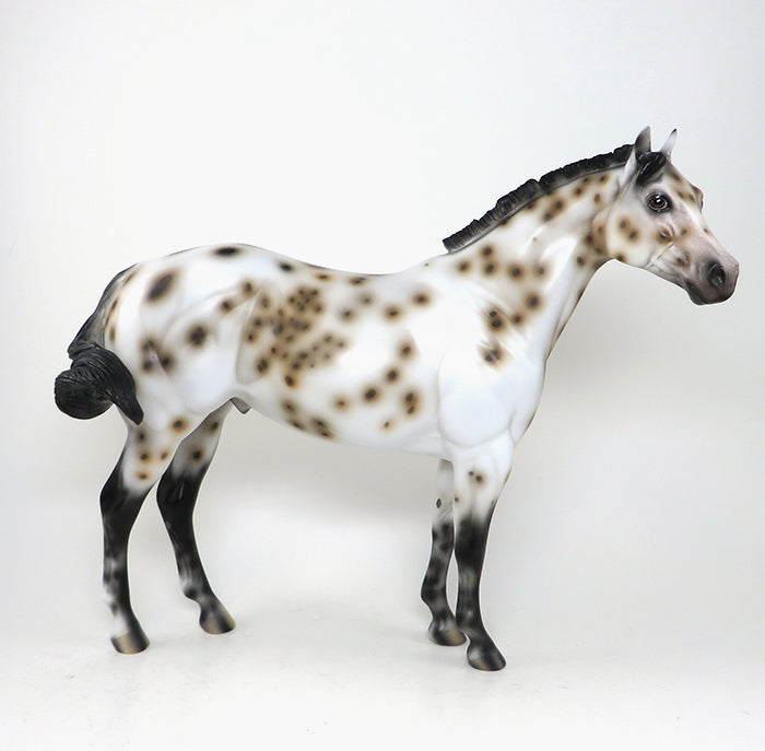 cypher buckskin appaloosa ish