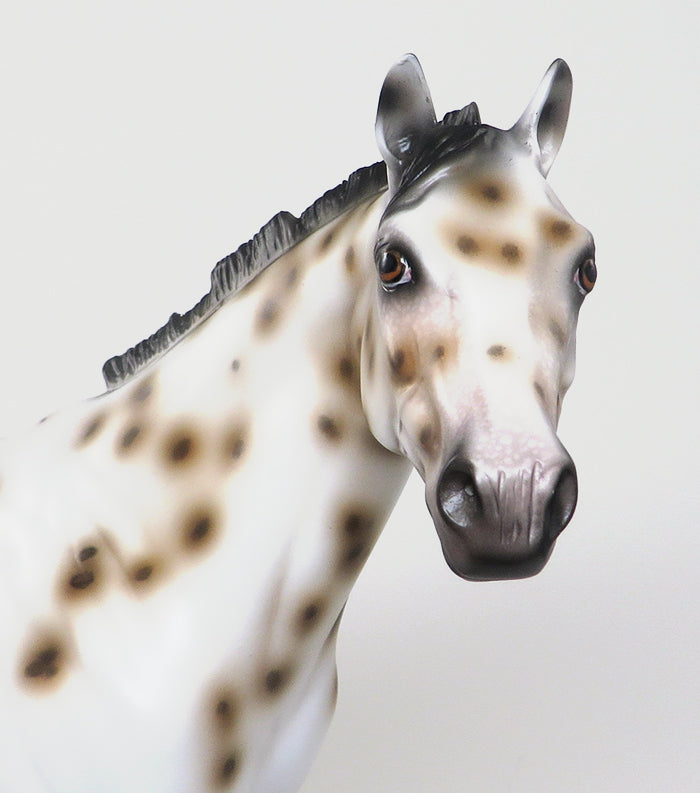 CYPHER - OOAK BUCKSKIN APPALOOSA ISH MODEL HORSE by SHEILA BISHOP - 1/22