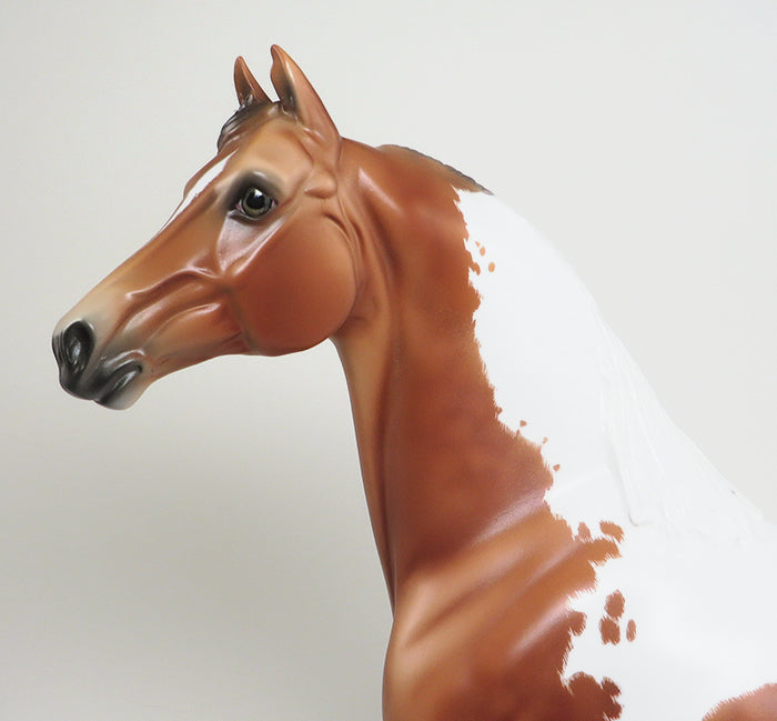 SASSY JACK - OOAK CHESTNUT PAINT MORGAN MODEL HORSE by SHEILA BISHOP - 1/22