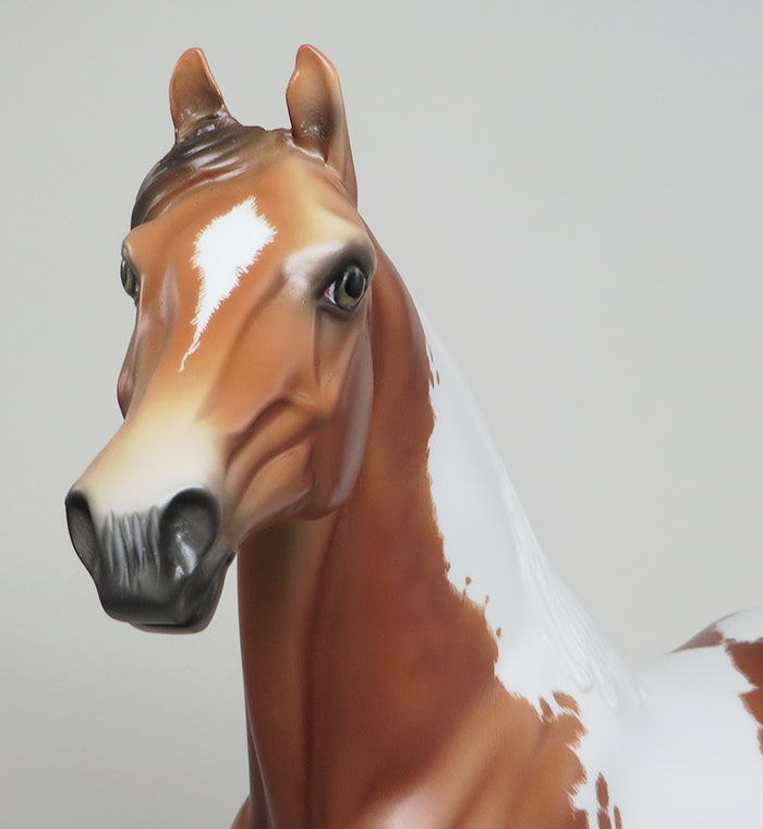 SASSY JACK - OOAK CHESTNUT PAINT MORGAN MODEL HORSE by SHEILA BISHOP - 1/22