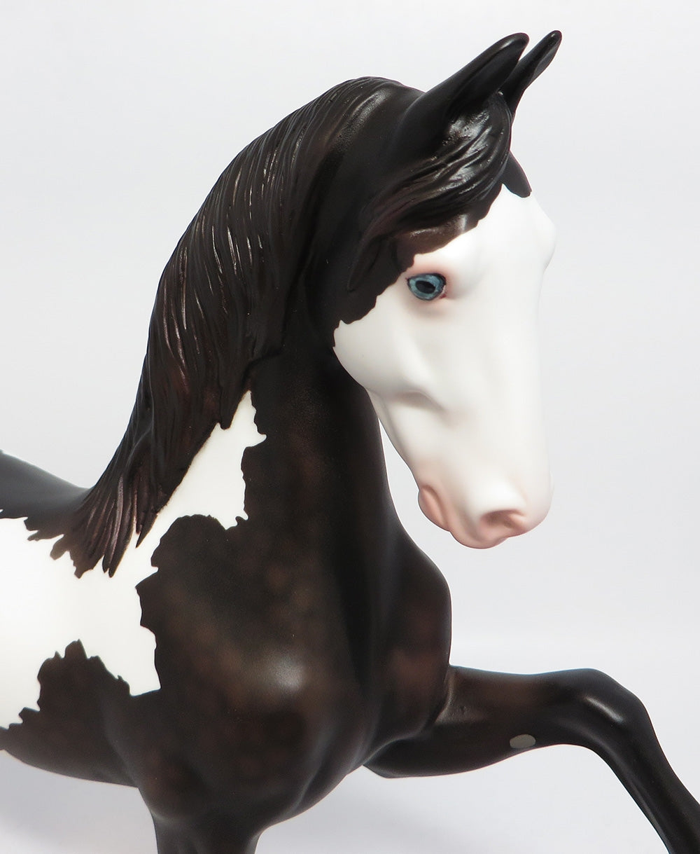JOUSTER-OOAK BLACK PINTO SADDLEBRED MODEL HORSE WHS 2017