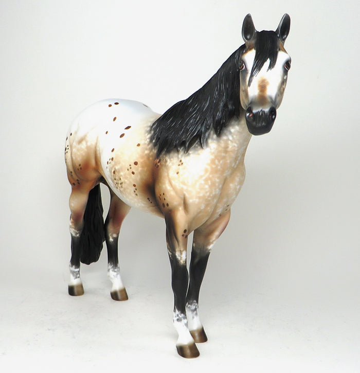 one of a kind bay roan appaloosa