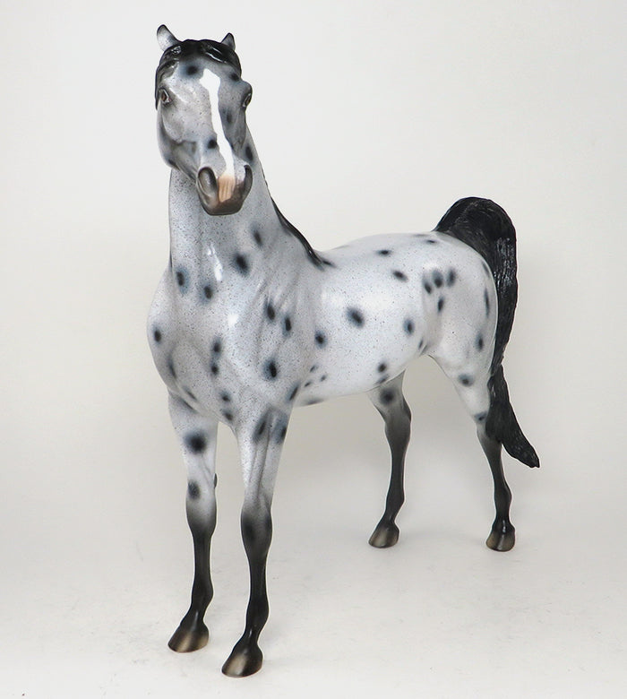 Limited Edition Arabian