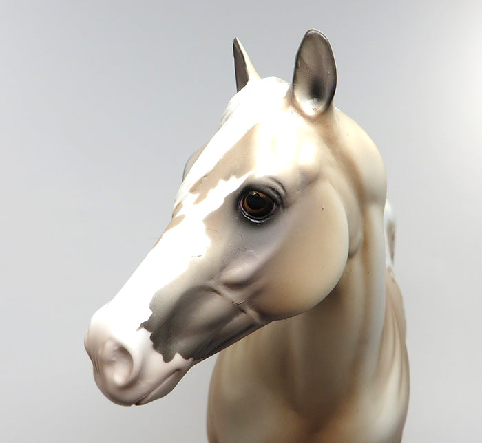 HOTRODDIN KID-OOAK APPALOOSA PALOMINO ISH MODEL HORSE 6/22