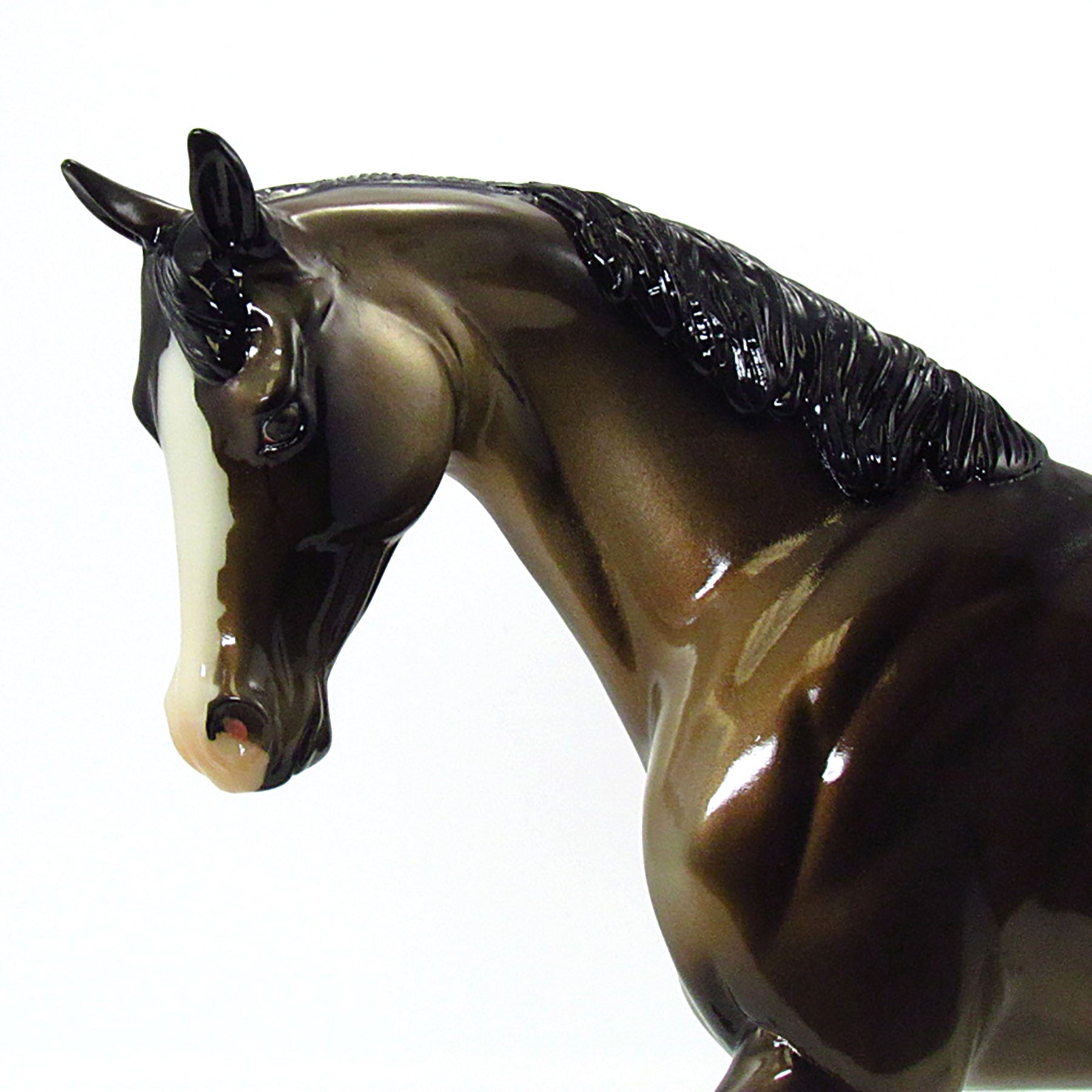 MR. PICKLE - OOAK Bay W/ Bronze Metallic Undertones Thoroughbred 6/15