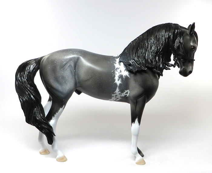 peter stone blue roan