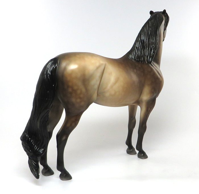 PIERS-OOAK DAPPLE BAY MORGAN MODEL HORSE 6/29