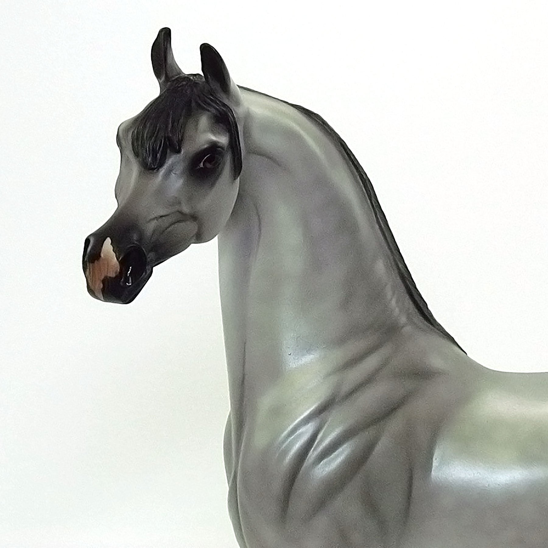 DIAMOND DUST - OOAK Dapple Grey Arabian Horse - 6/15