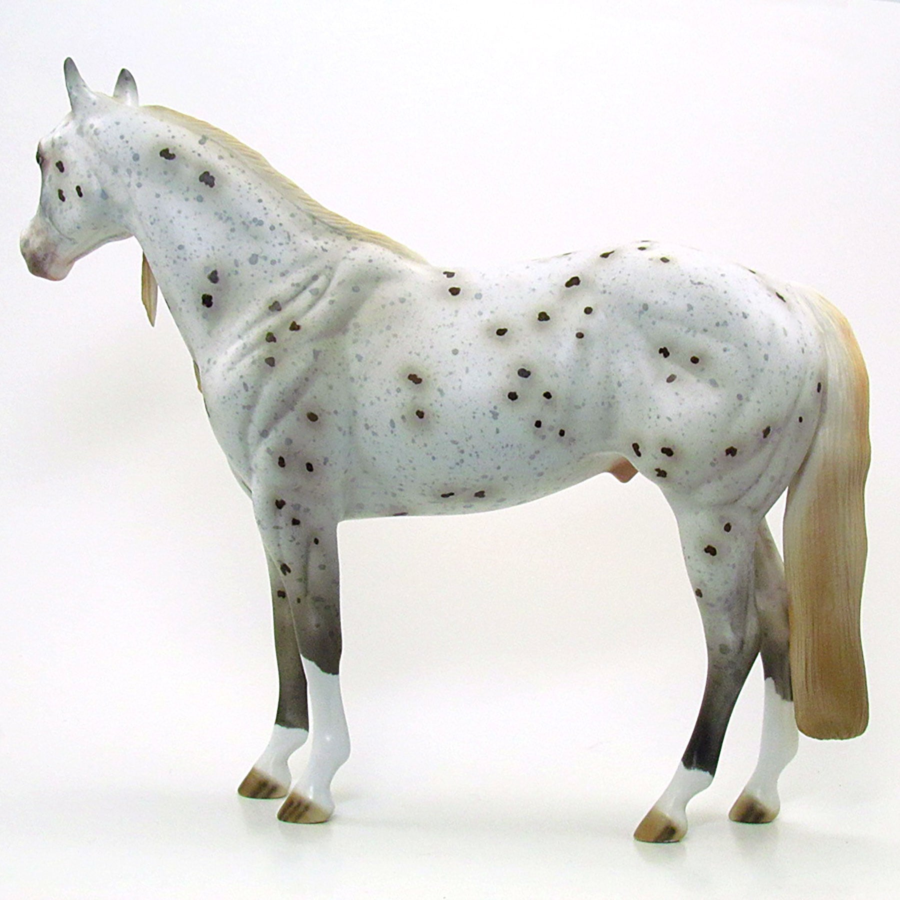 WINAMAC - OOAK Grey Appaloosa Stock Horse 6/15