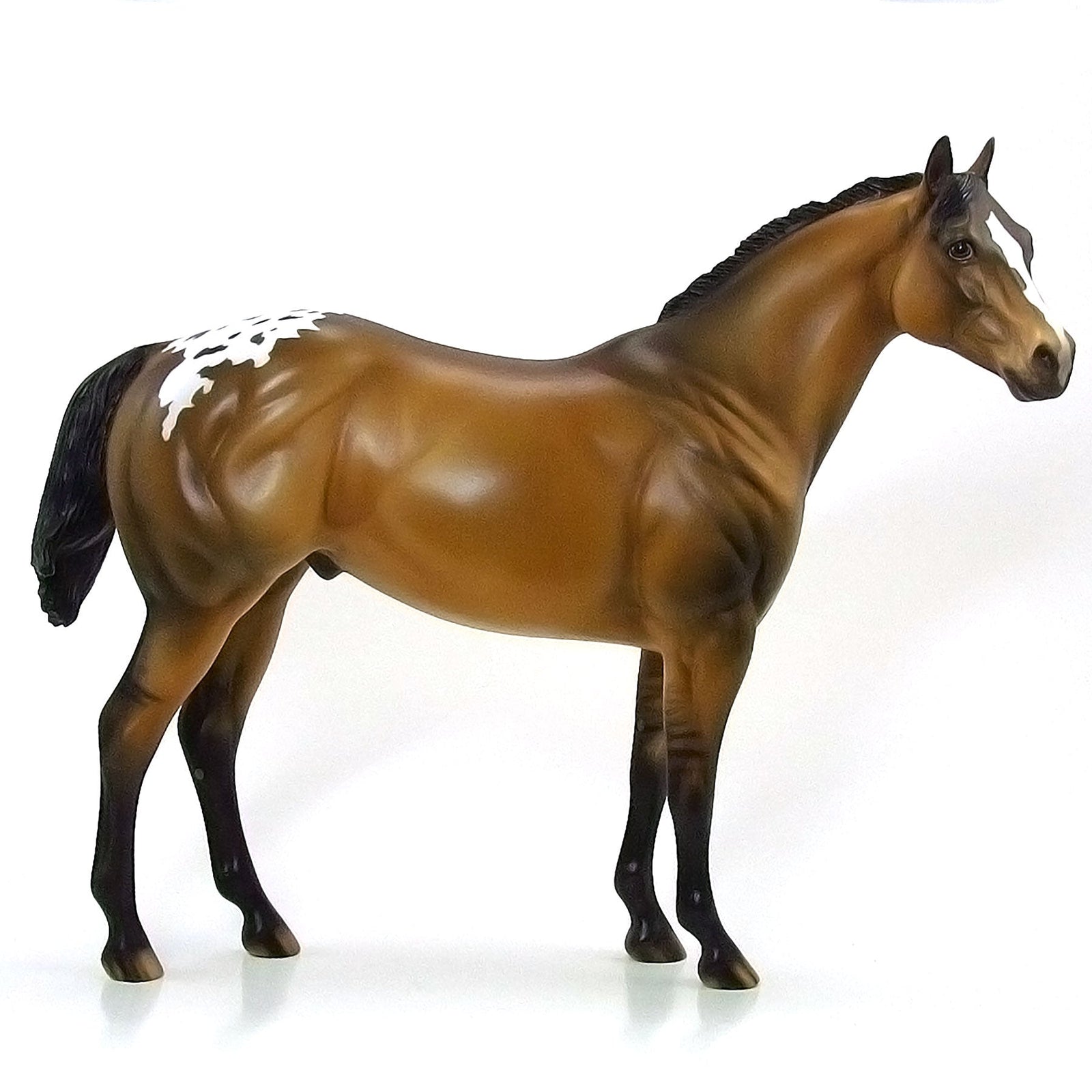 OXBOUR PARK - OOAK Sooty Buckskin Blanket Appaloosa 6/15