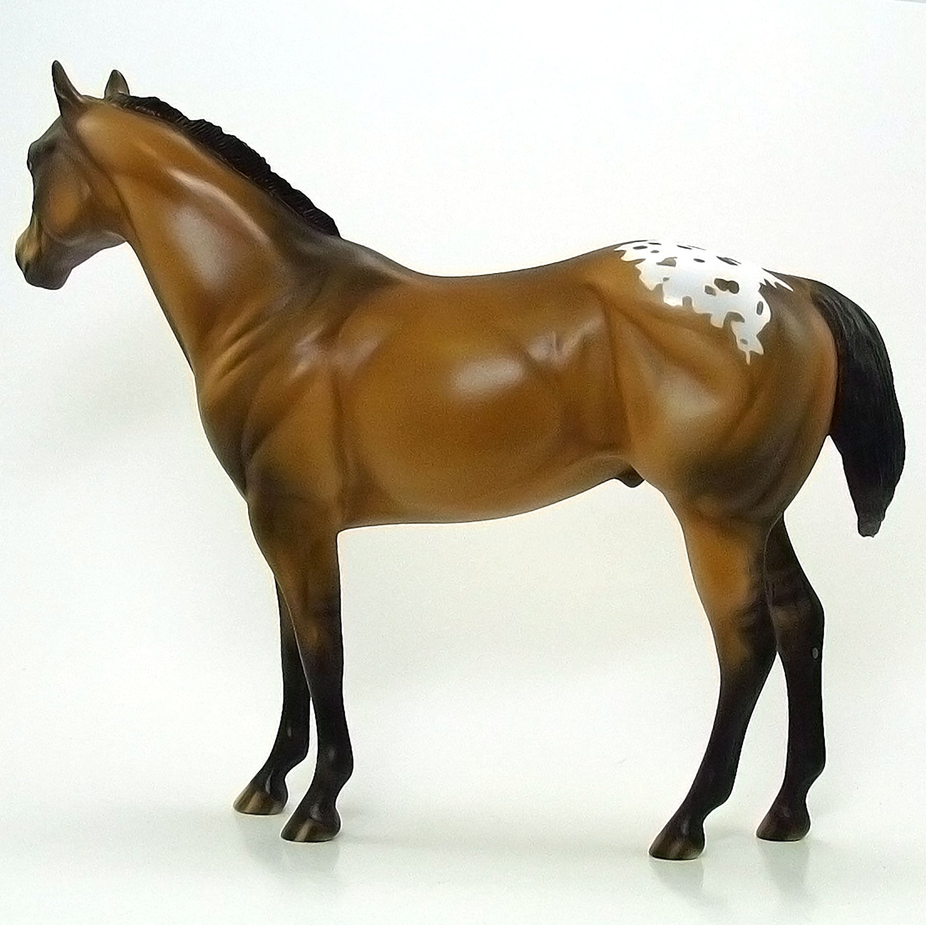 OXBOUR PARK - OOAK Sooty Buckskin Blanket Appaloosa 6/15