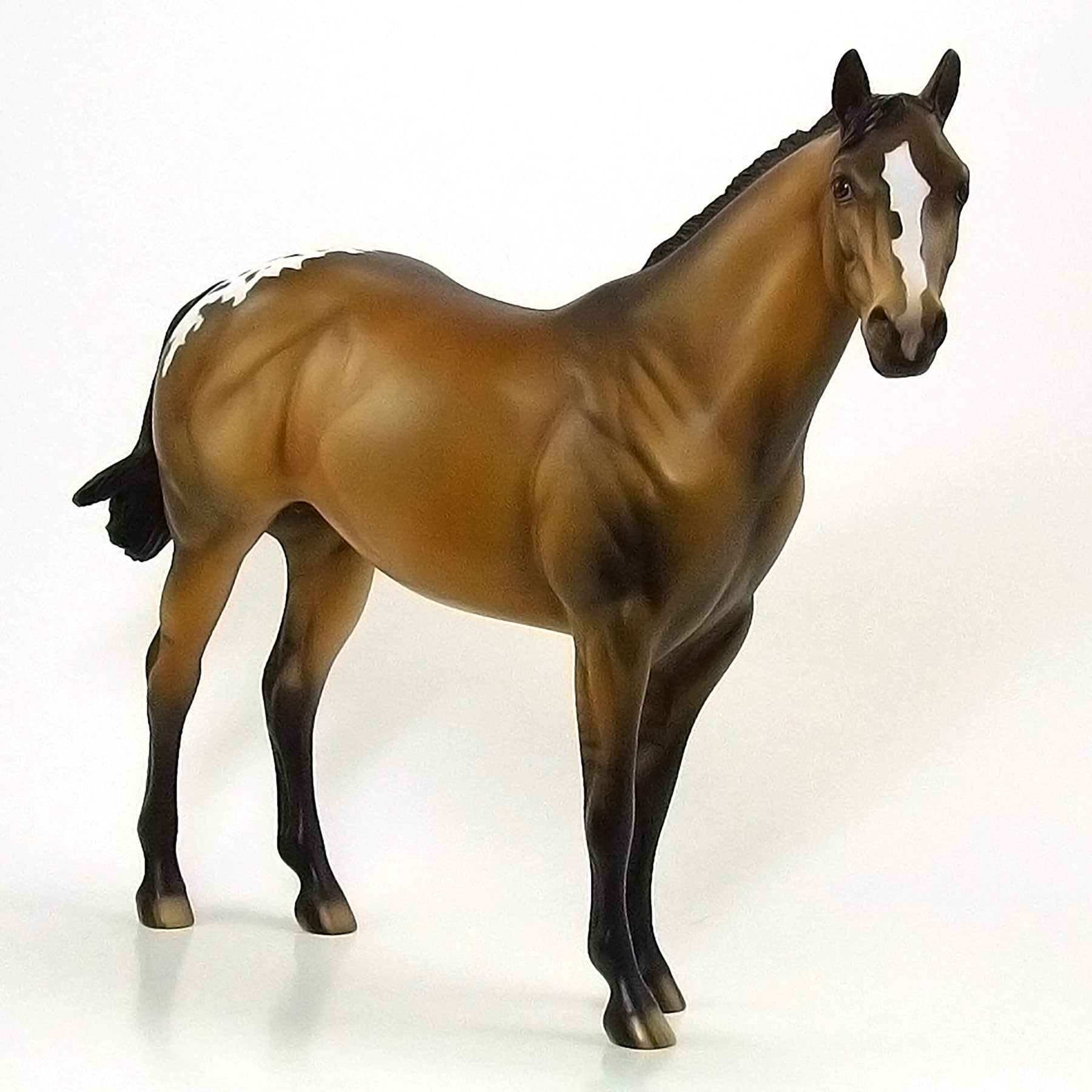 OXBOUR PARK - OOAK Sooty Buckskin Blanket Appaloosa 6/15