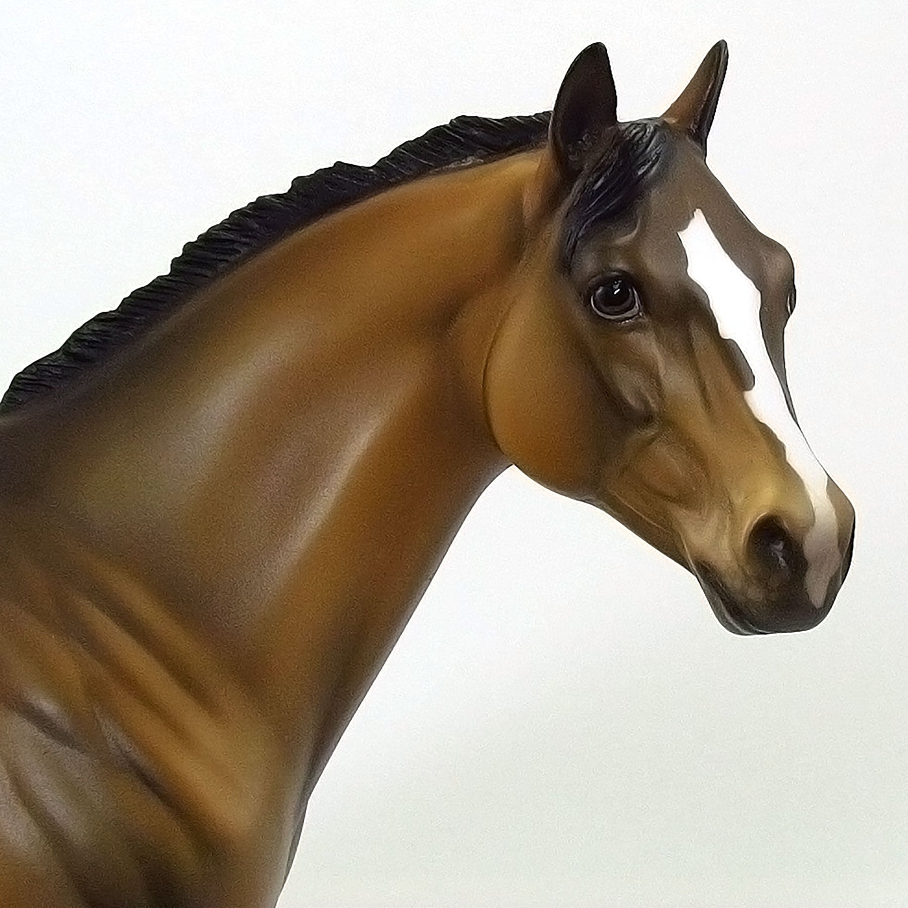 OXBOUR PARK - OOAK Sooty Buckskin Blanket Appaloosa 6/15