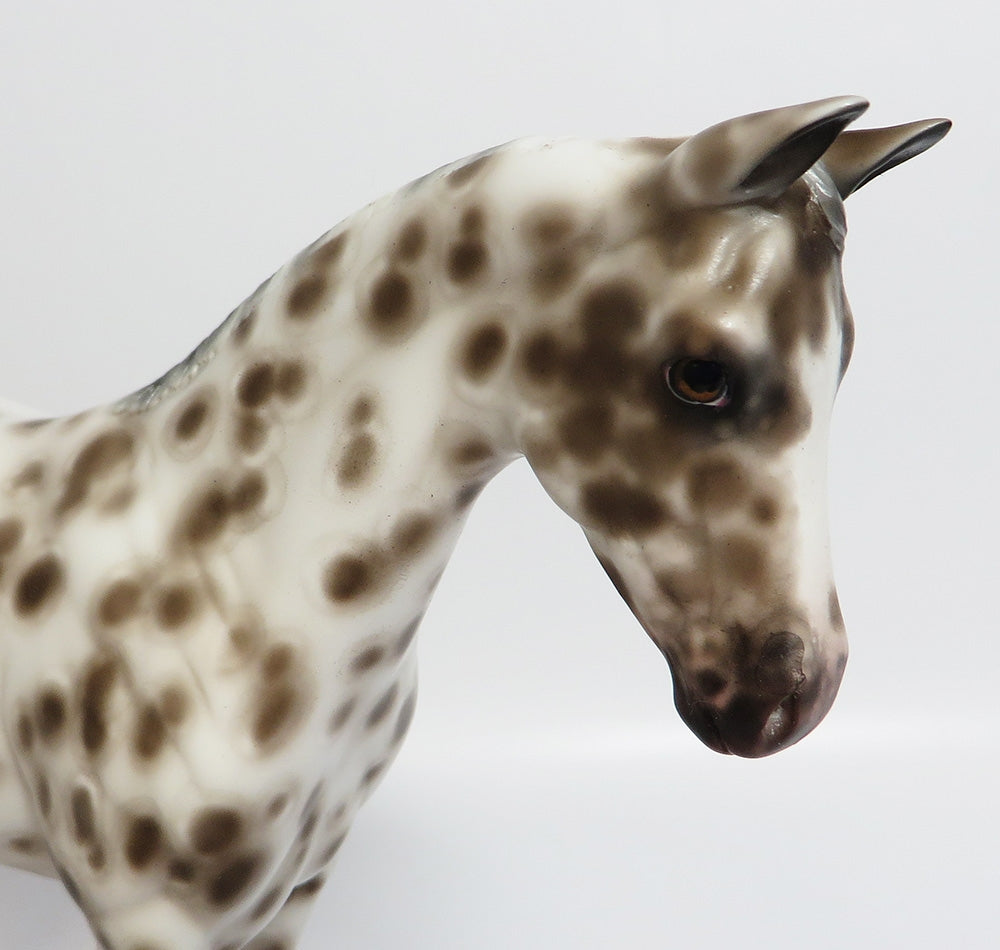 PAISLEY~OOAK BAY LEOPARD APPALOOSA WEANLING MODEL HORSE BY SHERYL LEISURE 11/13/17