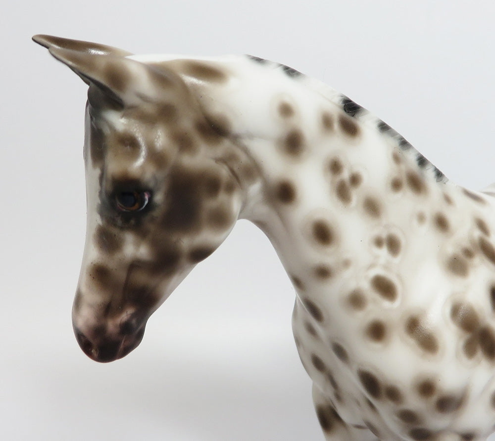 PAISLEY~OOAK BAY LEOPARD APPALOOSA WEANLING MODEL HORSE BY SHERYL LEISURE 11/13/17
