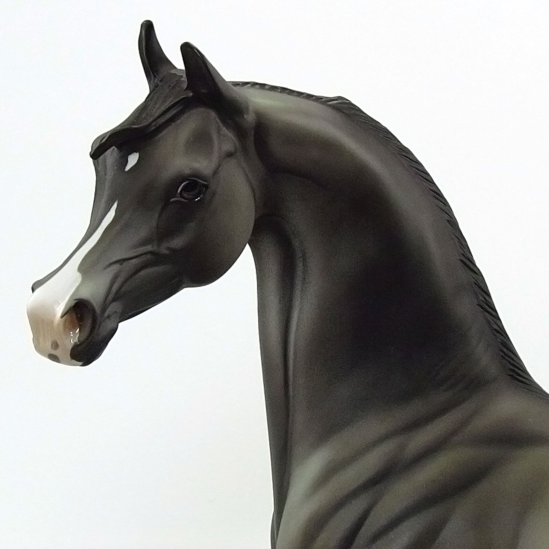 DEITSH - Dark Dapple Grey Arabian Model Horse - LE3 - 6/15