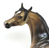 Custom Arabian
