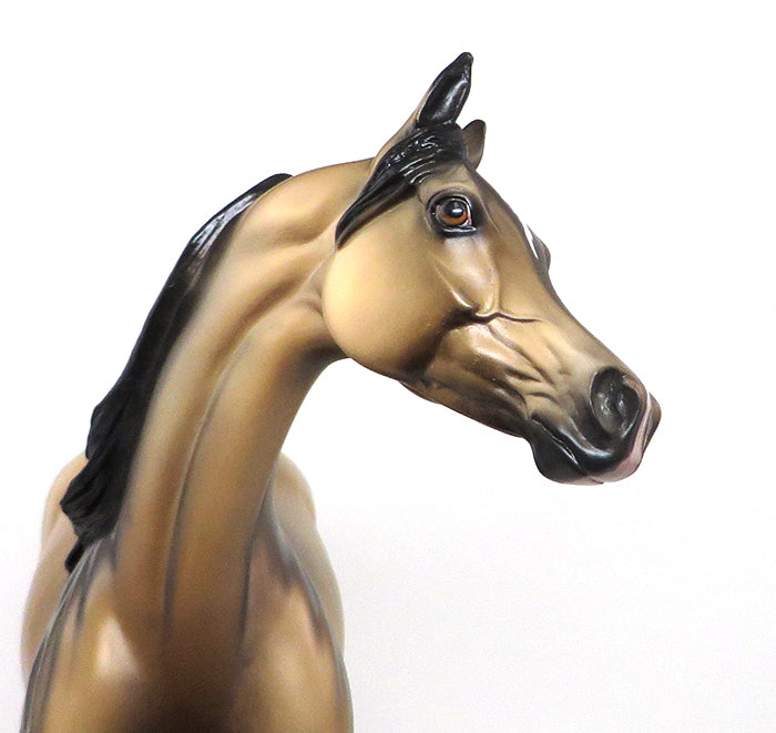 Buckskin Model Horse