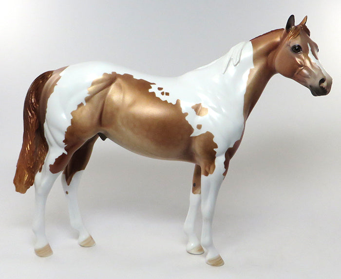 tango tango paint horse 